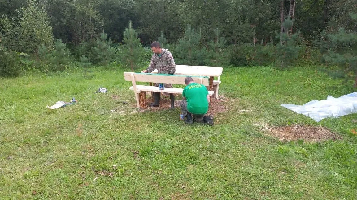 Фото: Комитет лесного хозяйства МО