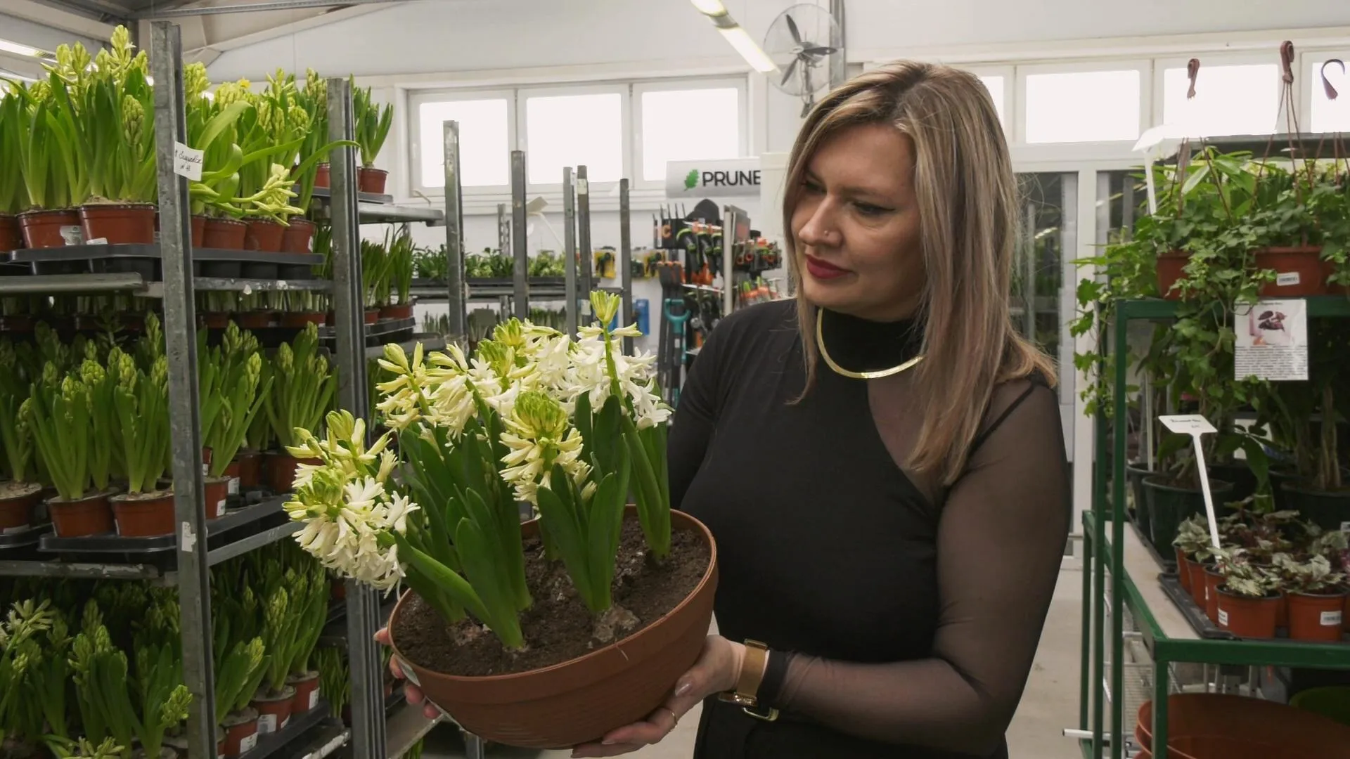 МедиаБанк Подмосковья/Юлия Андросова