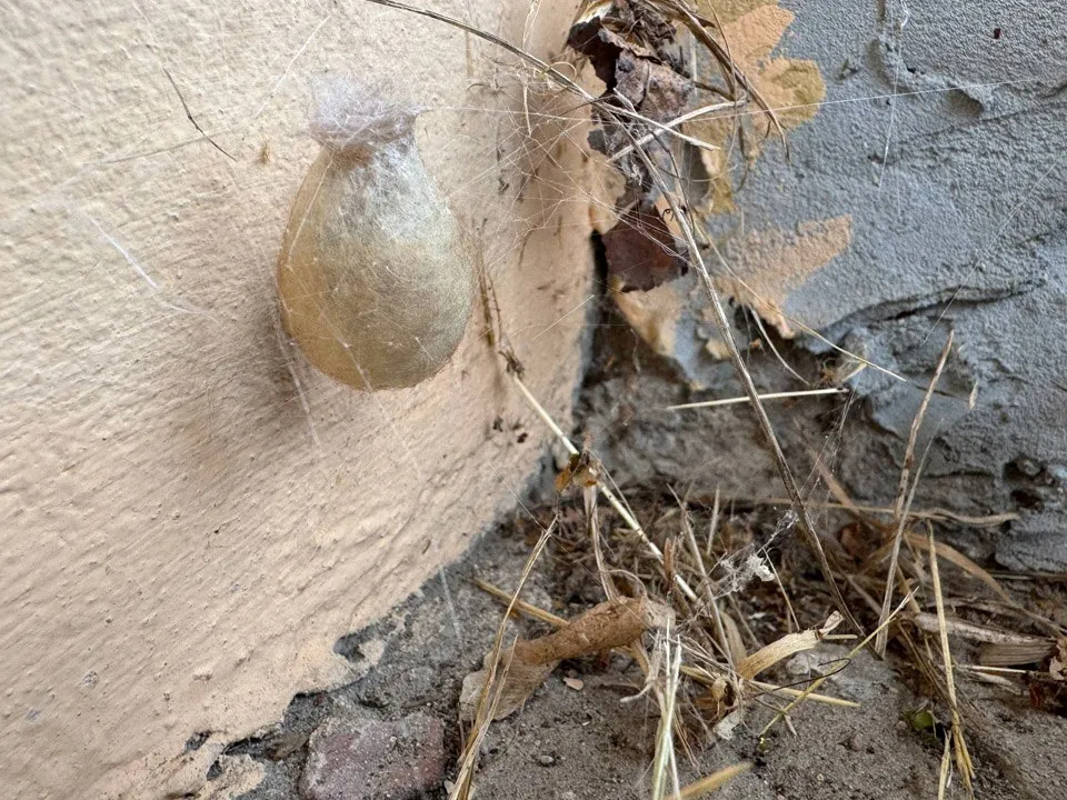 Фото: REGIONS/Владимир Ерастов