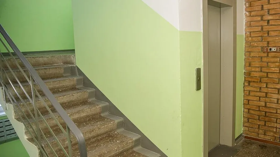 Фото: пресс-служба администрации Одинцовского городского округа