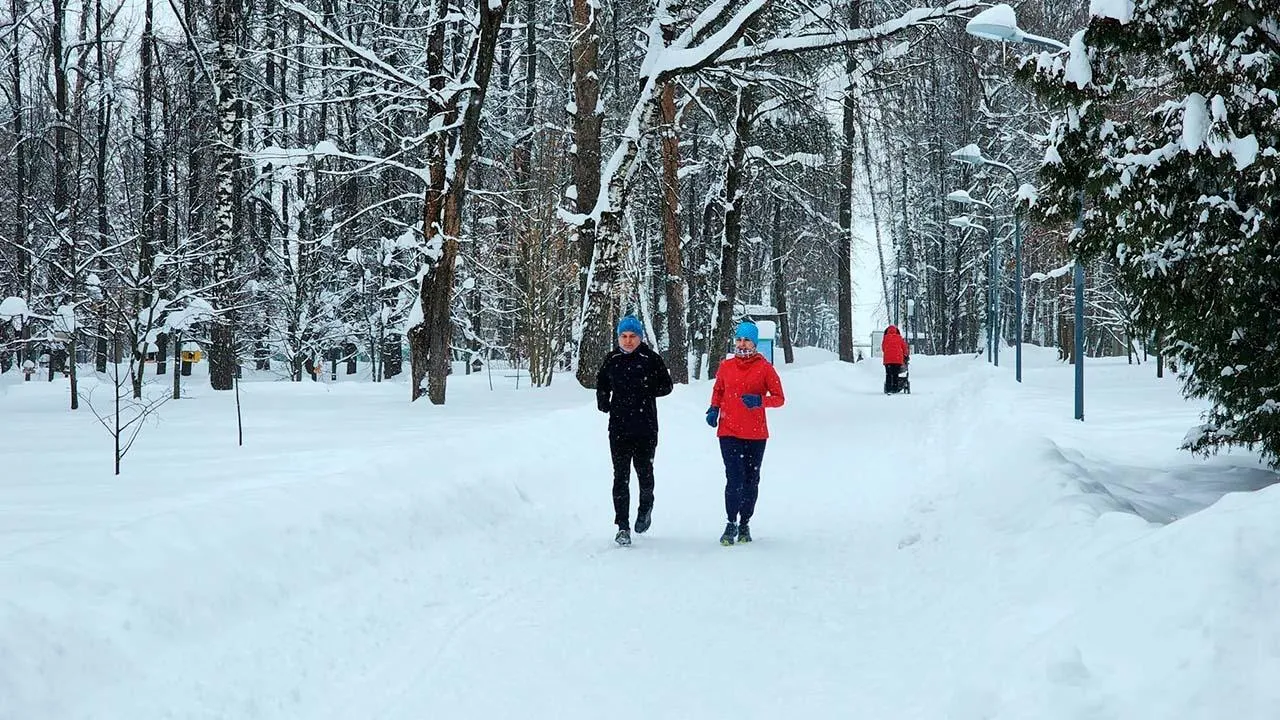 МедиаБанк Подмосковья/Юлия Унрау