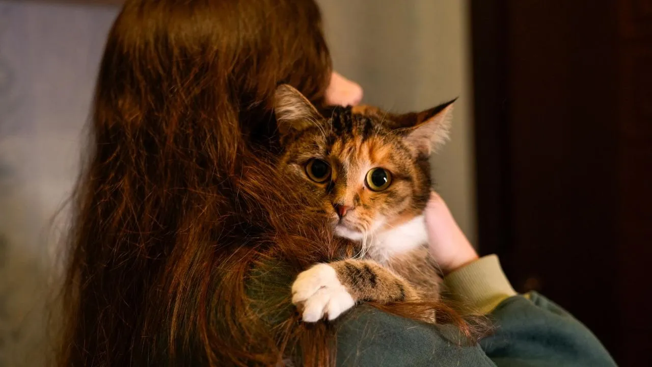 медиасток.рф