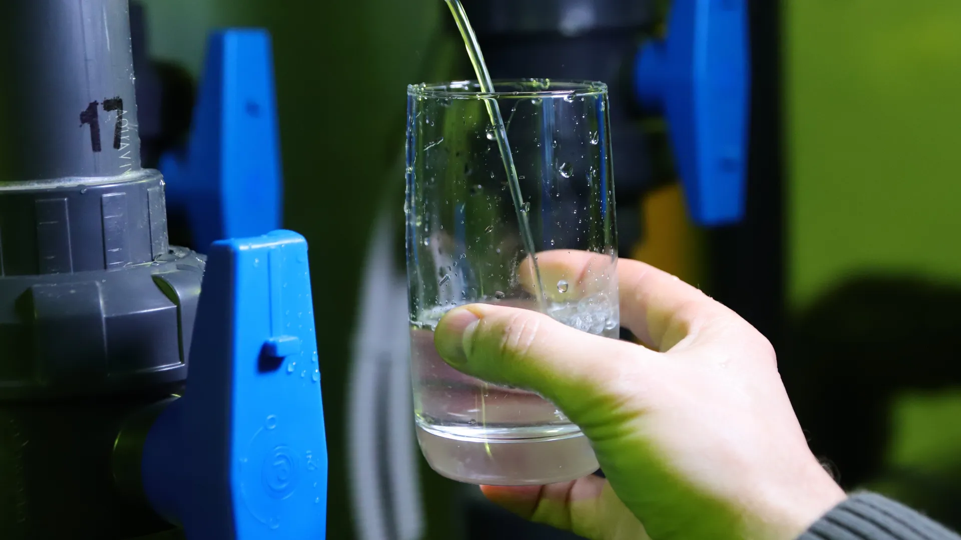 Фото: МедиаБанк Подмосковья/Светлана Плотникова