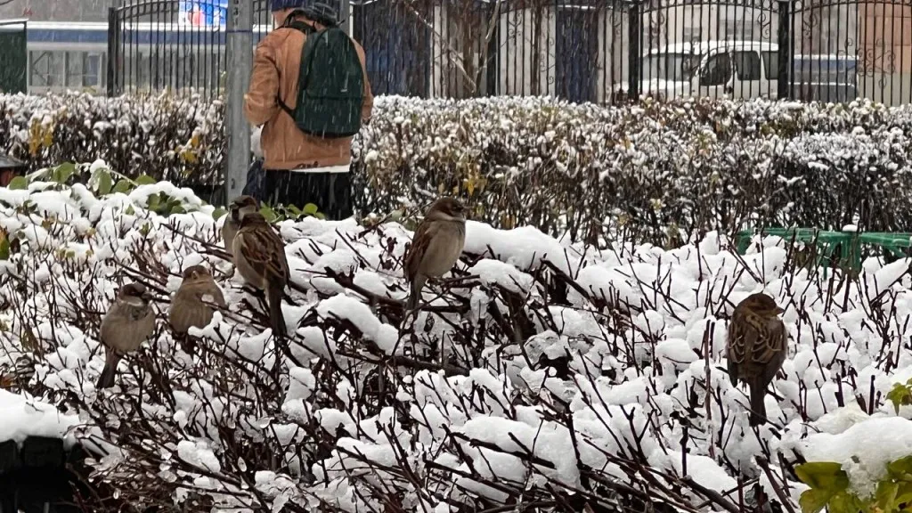 Фото: REGIONS/Елена Фурман