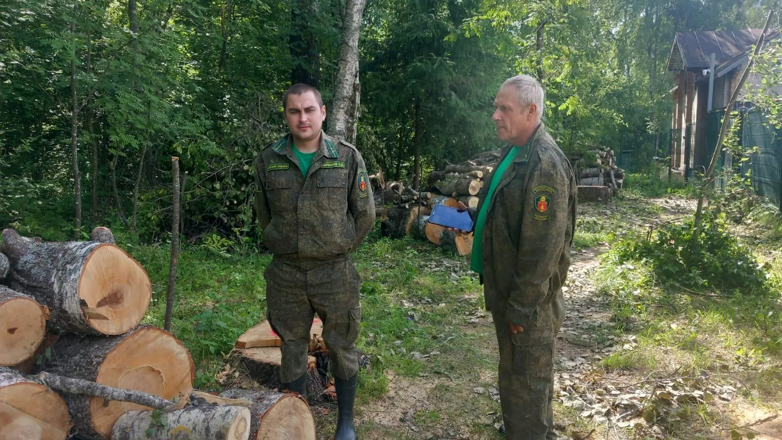 Фото: Комитет лесного хозяйства Московской области