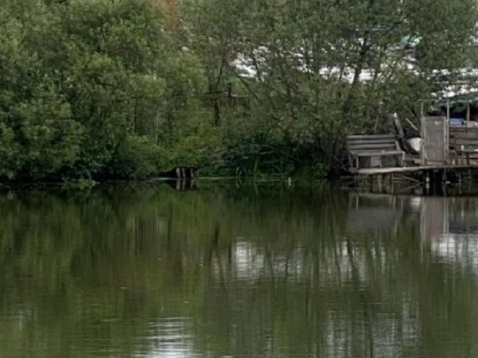 Фото:&nbsp;Министерство экологии и природопользования МО