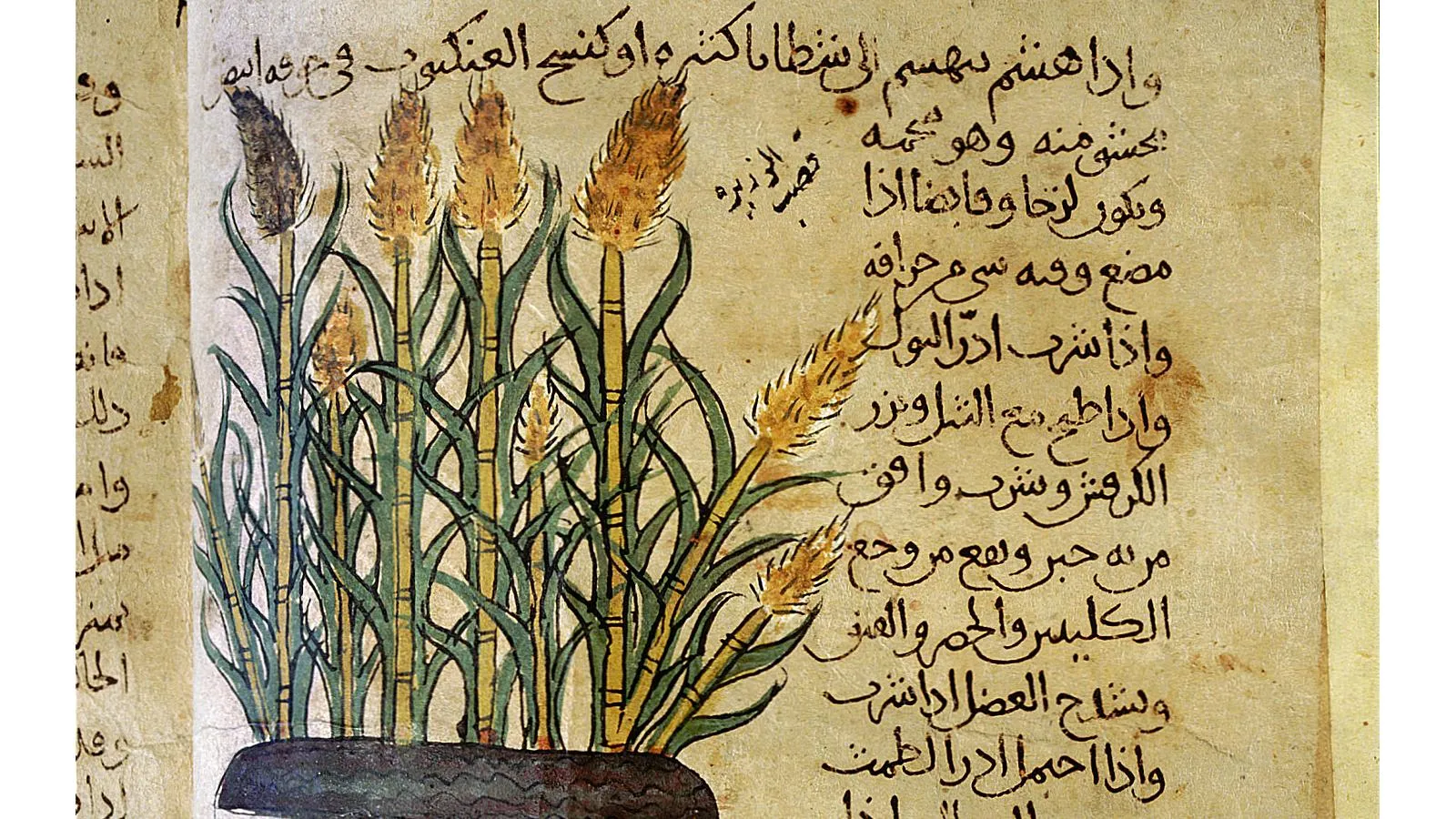 Аир в древней рукописи. Werner Forman