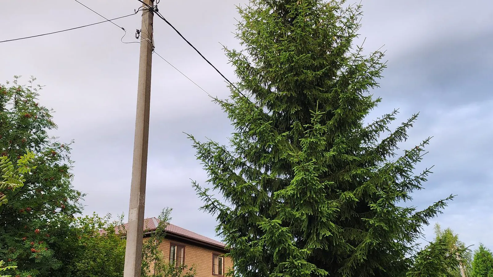 Фото: Андрей Семибратов