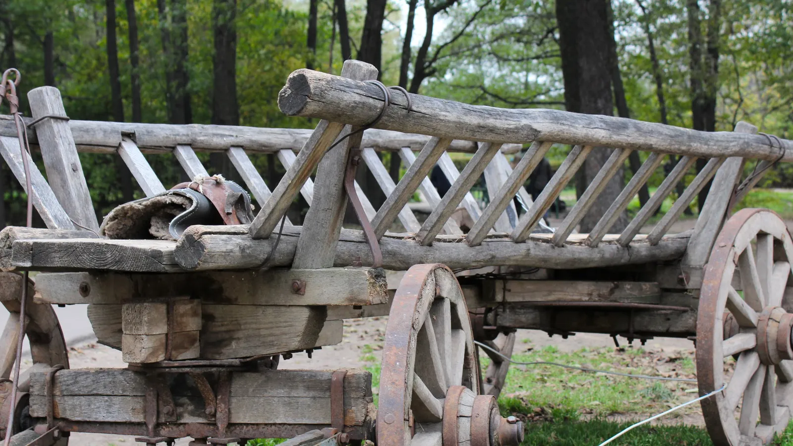 Фото: pxhere.com