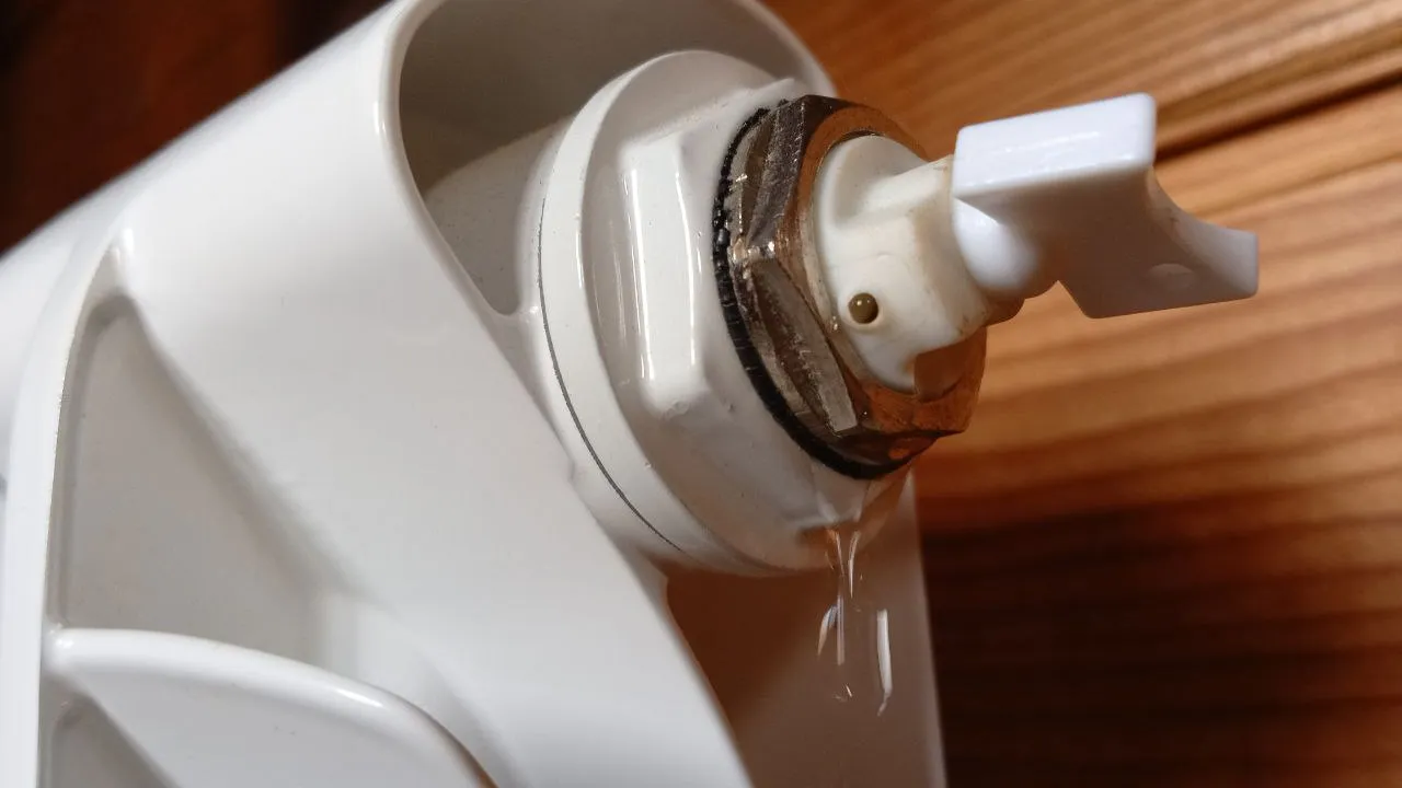 Фото: REGIONS/Василий Тремасов