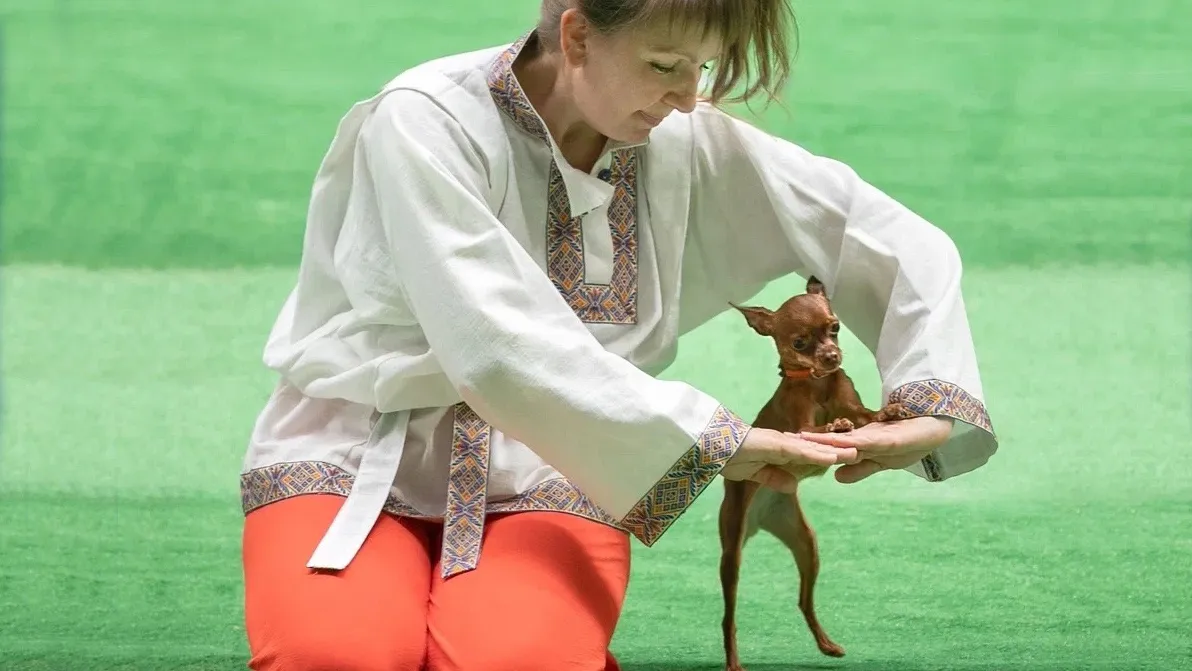 Фото: Ольга Евграфова