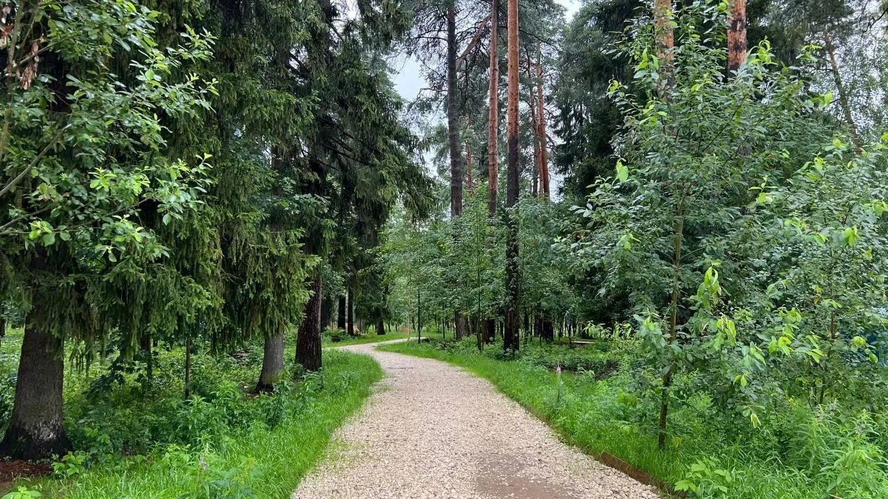 Мария Лихобабенко