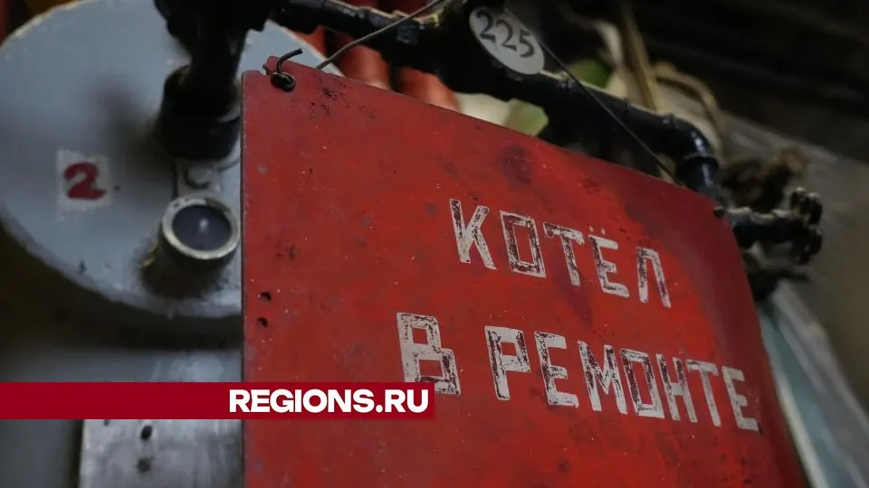 Фото: Дмитрий Зайчиков