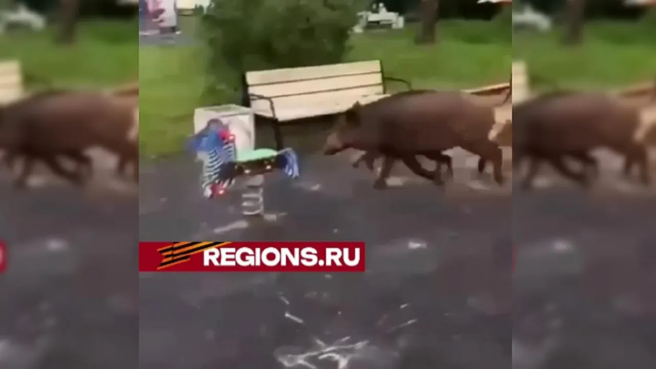t.me/newsregions