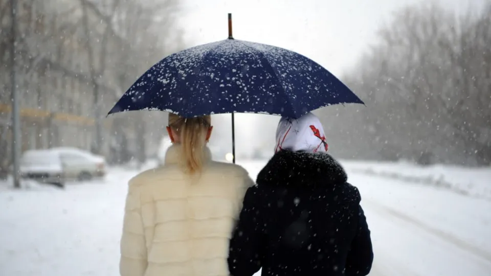 Фото: медиасток.рф