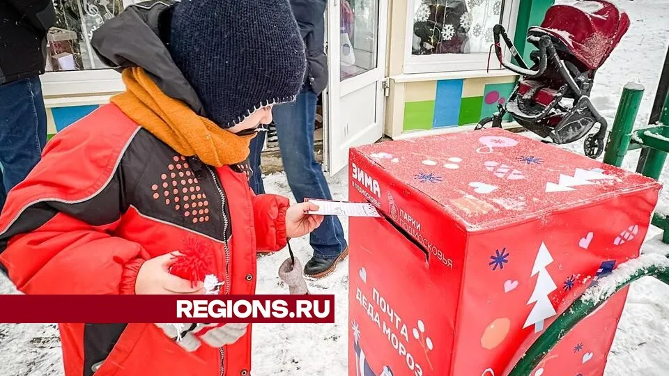 Фото: МедиаБанк Подмосковья/Данила Кирьянов