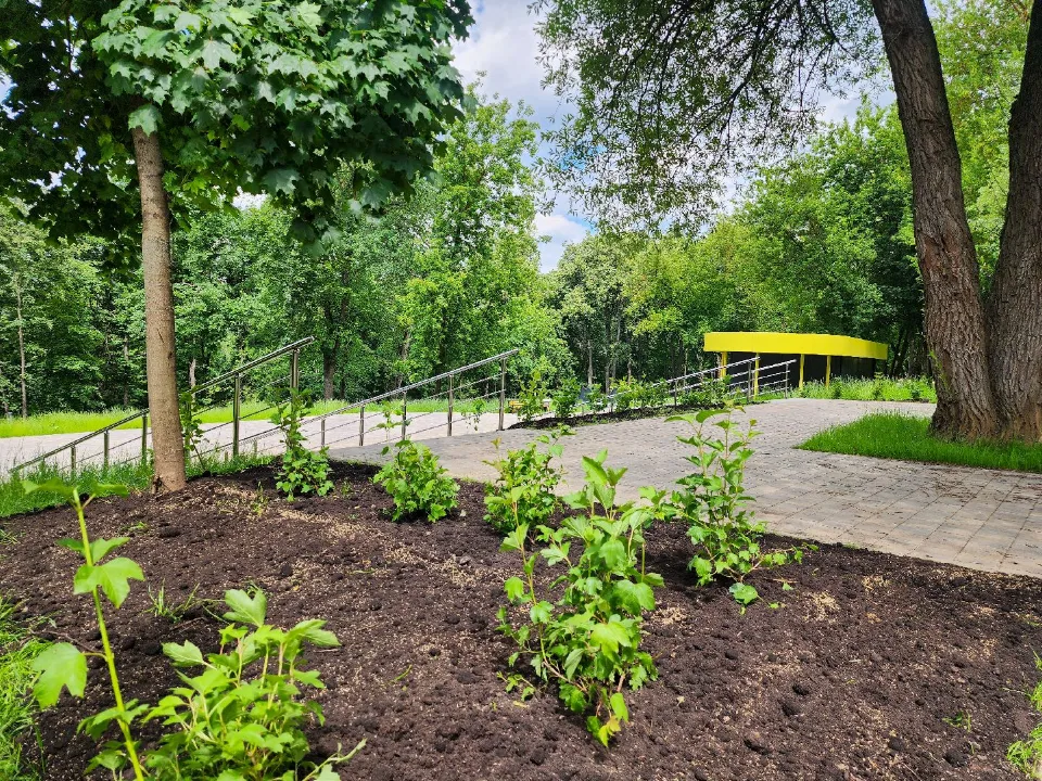 Фото: Мария Андрюхина