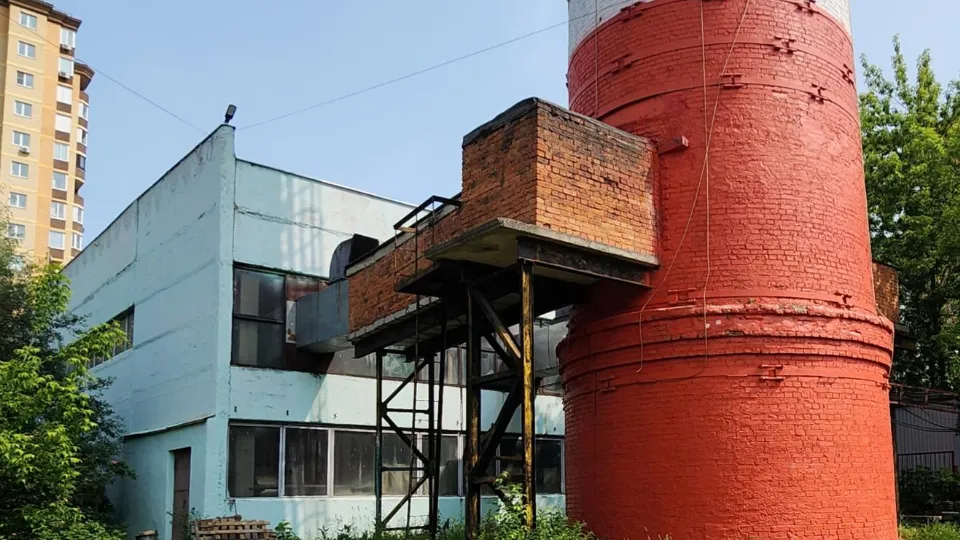 Фото: Хавива Фонина