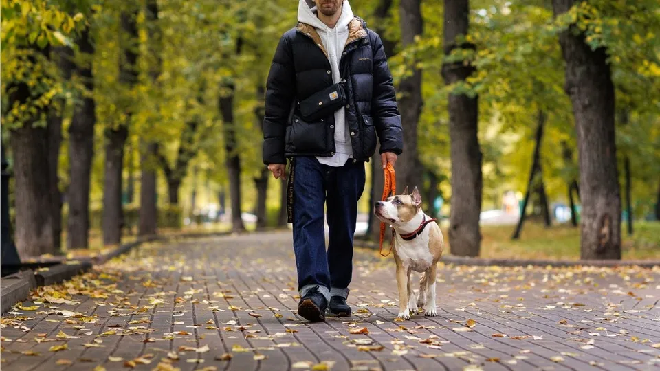 Фото: медиасток.рф