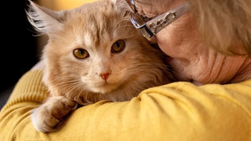 Фото: freepik.com