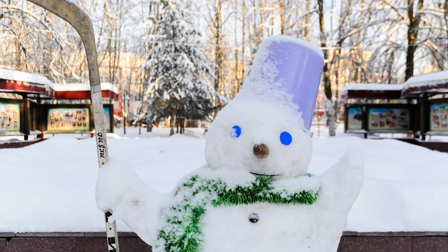 Фото: медиасток.рф