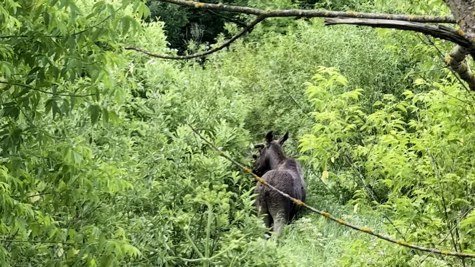 Фото: соцсети