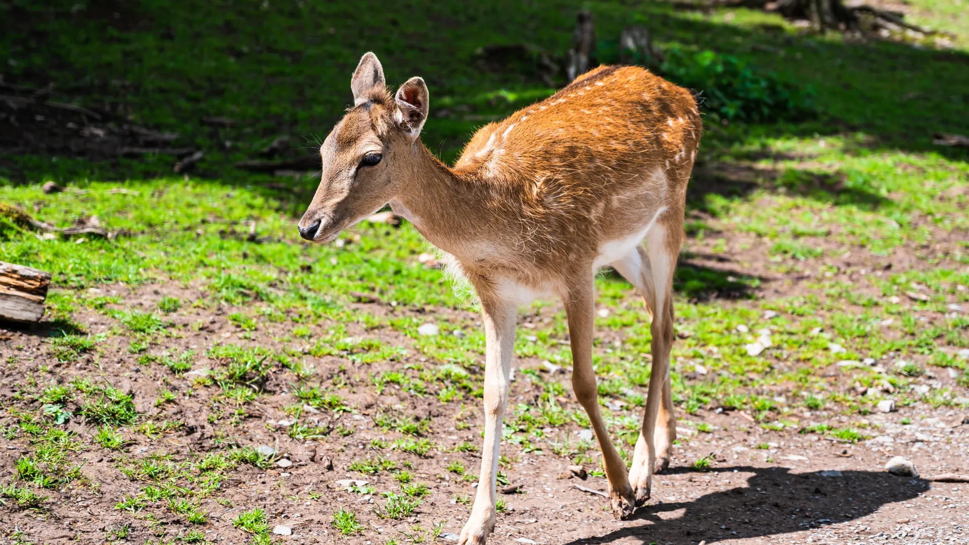 Фото: freepik.com