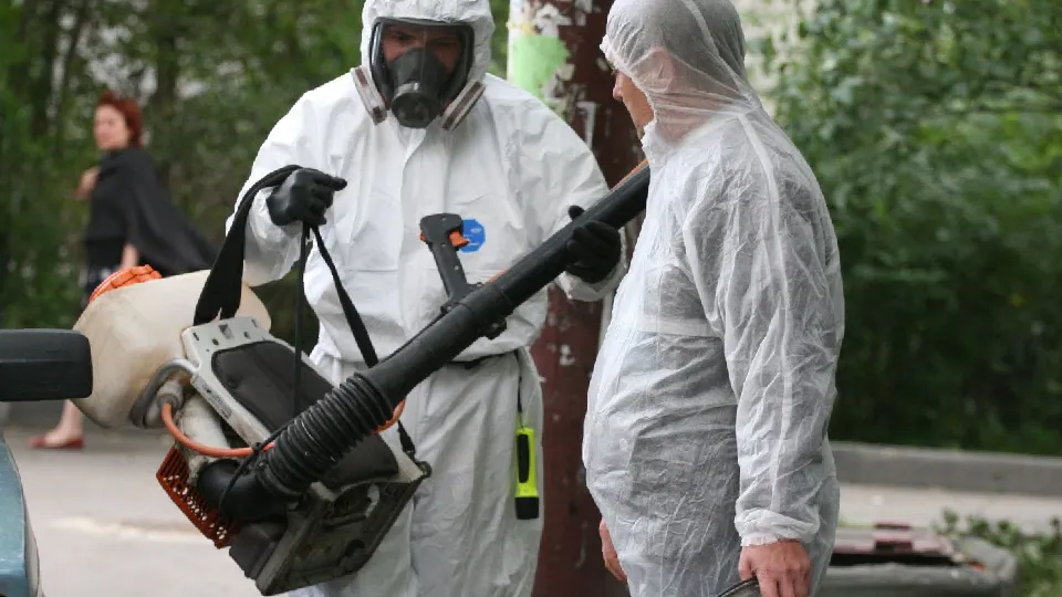 Фото: медиасток.рф