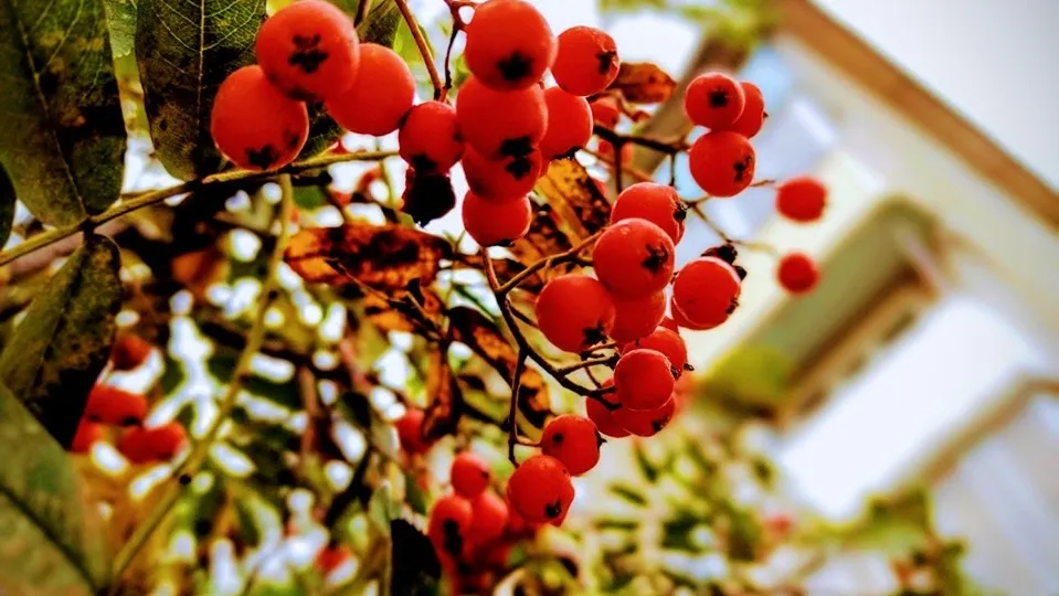 Фото: REGIONS/Алексей Селиверстов