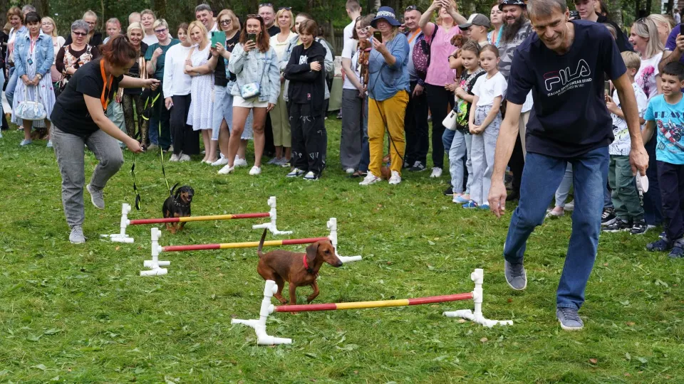 Фото: Министерство культуры и туризма Московской области