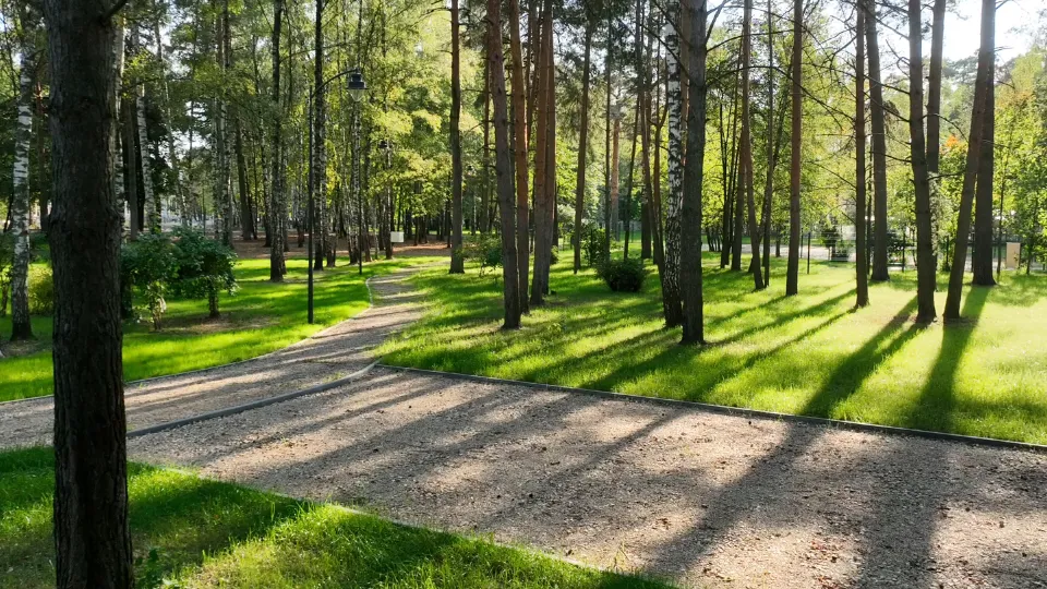 Фото: Министерство благоустройства Московской области