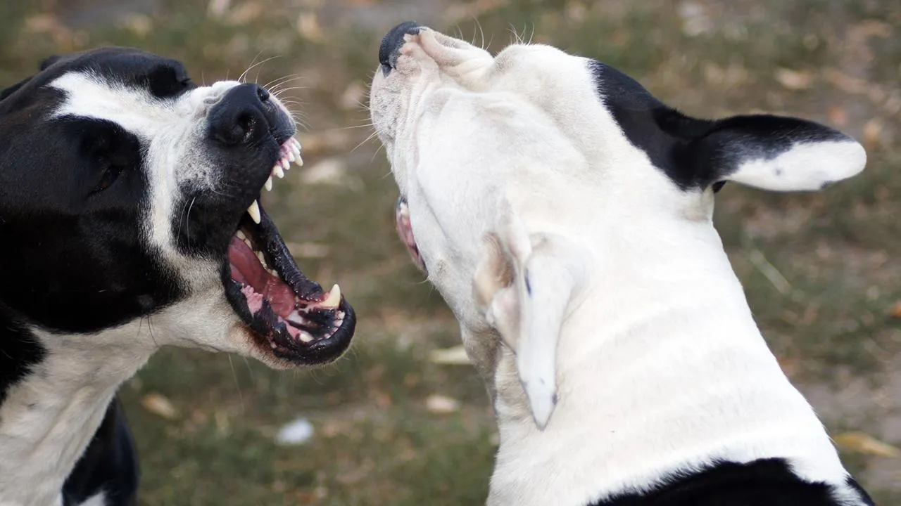 istockphoto.com/Denise Hasse