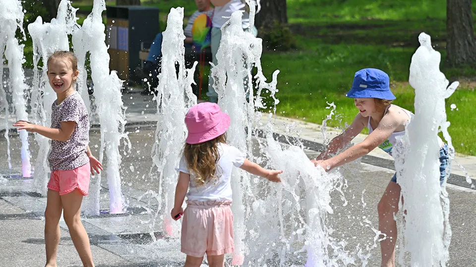 Фото: Сергей Демянюк