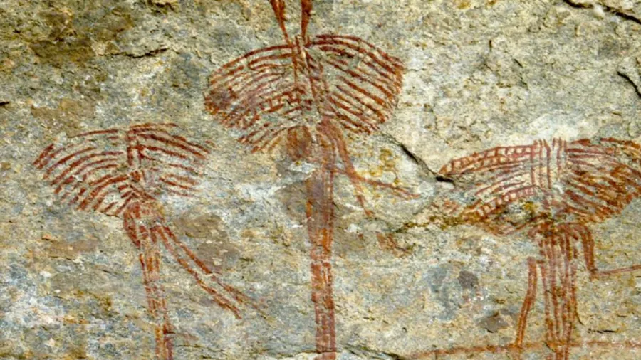 Фото: M. Grzelczyk