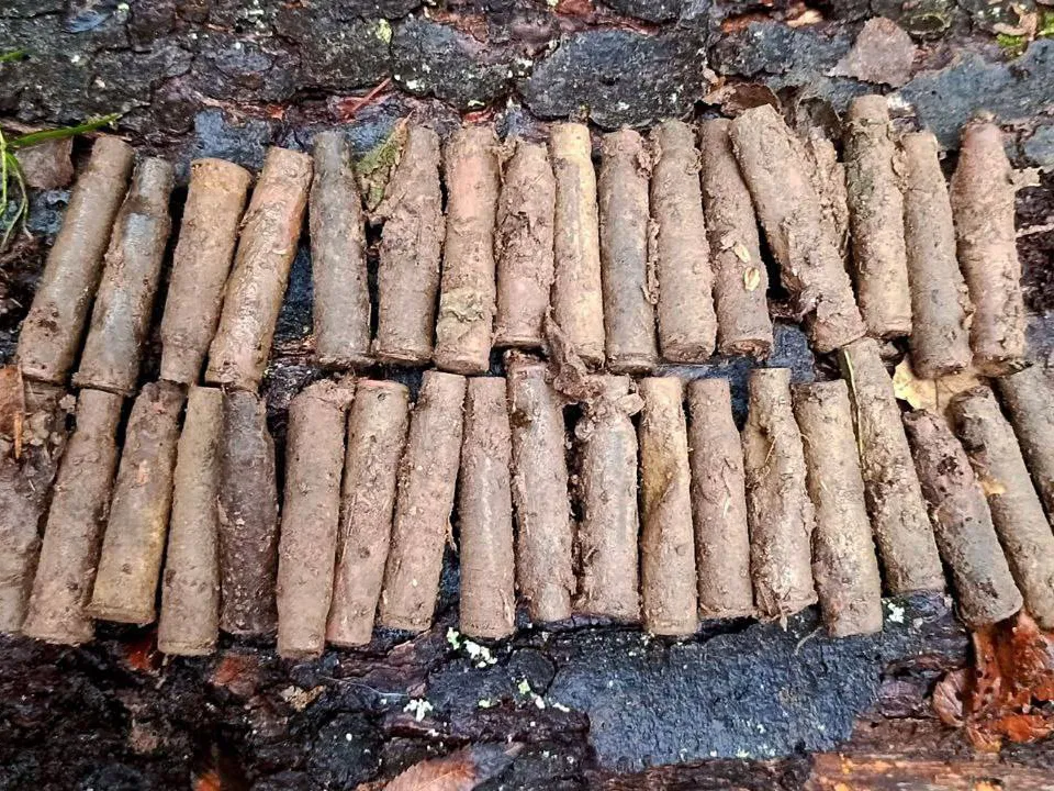 Фото: поисковый отряд «КитежЪ»