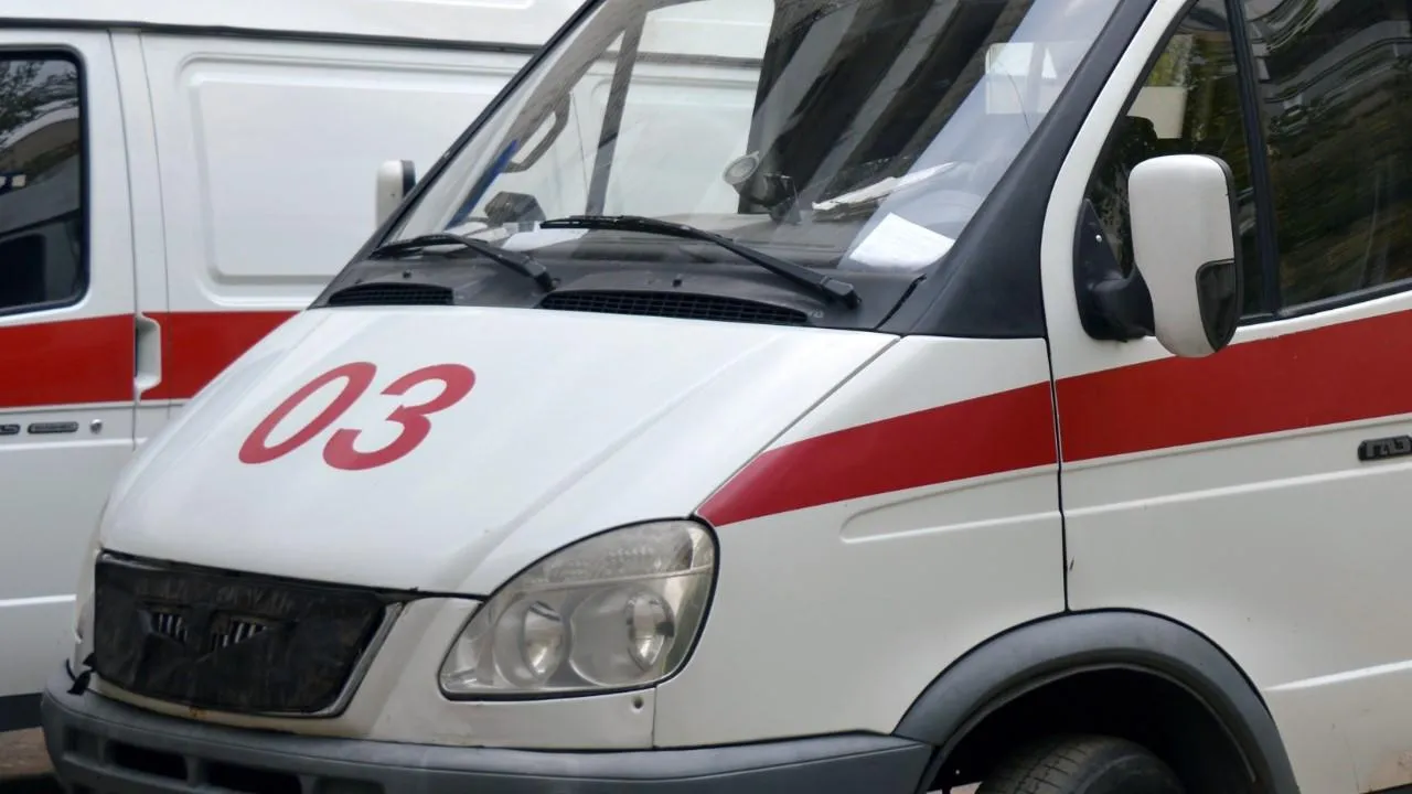У жителя Тувы обнаружили сибирскую язву