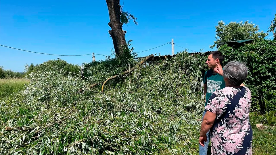 Фото: vk.com/Единая Россия Зарайск