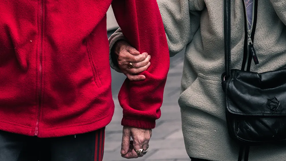Фото: unsplash