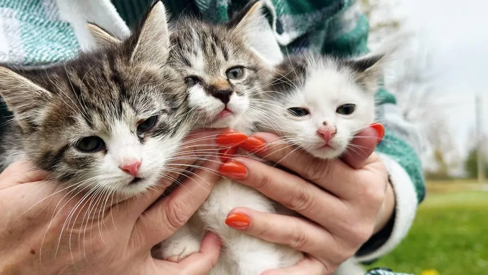 фото: соцсети.