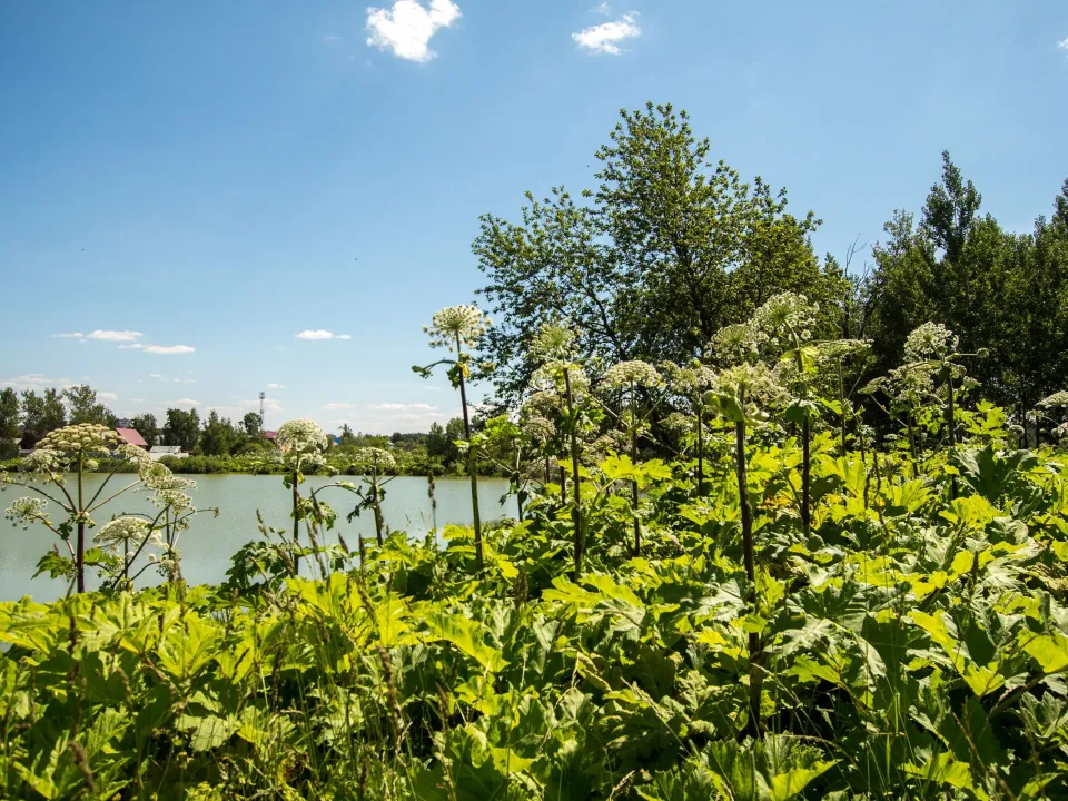 Фото: МедиаБанк Подмосковья/Евгений Корнилов&nbsp;