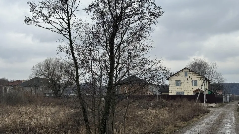 Фото: Полина Абраменко