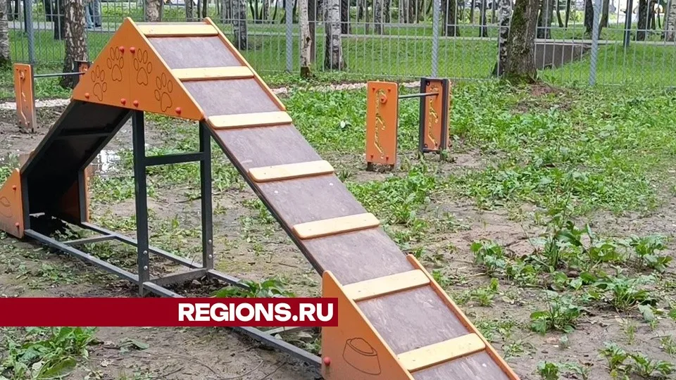 Фото: Екатерина Дятловская