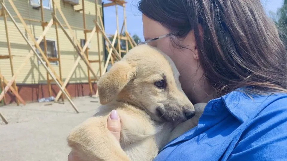 Фото: t.me/gkumol_zve