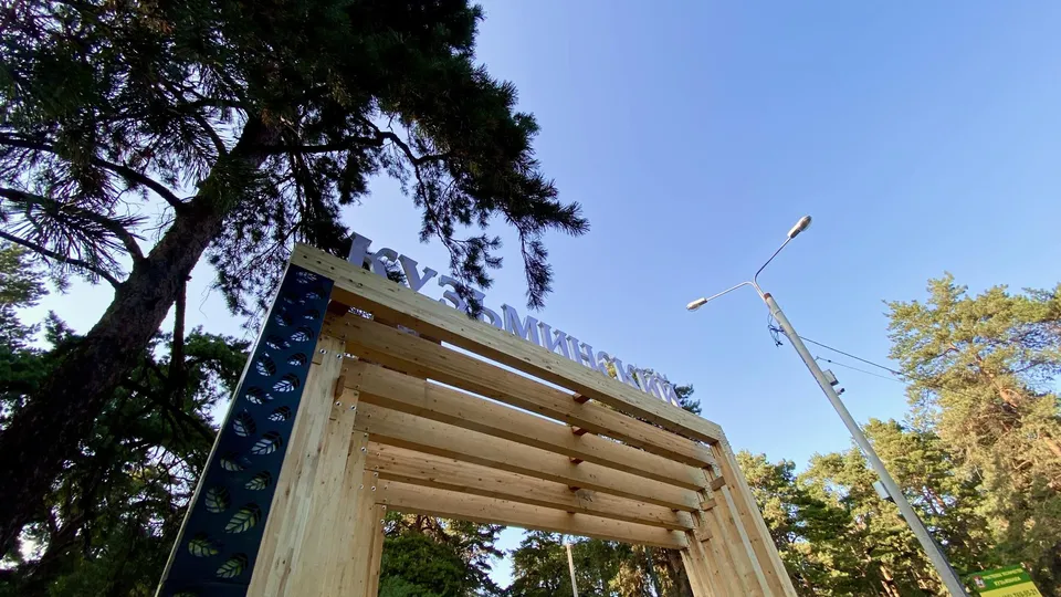 Фото: Министерство благоустройства Московской области