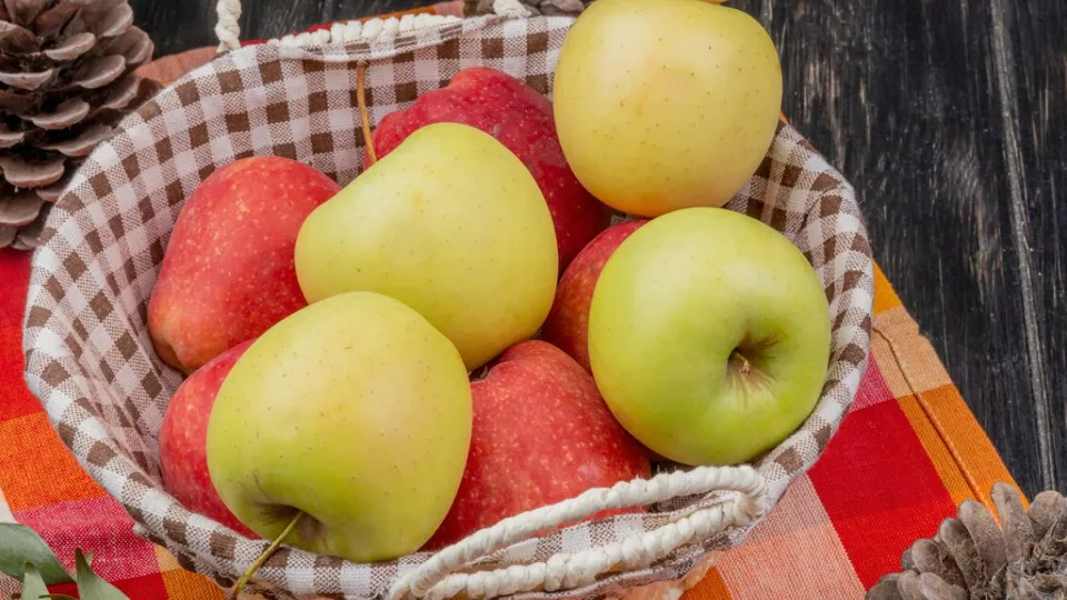 Фото: freepik.com