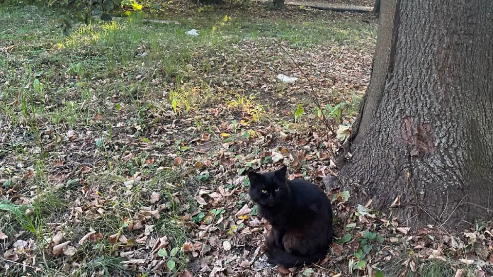 Фото: REGIONS/Александра Серова