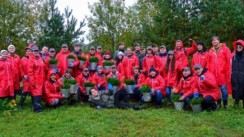В Орехово-Зуево волонтеры высадили несколько гектаров леса