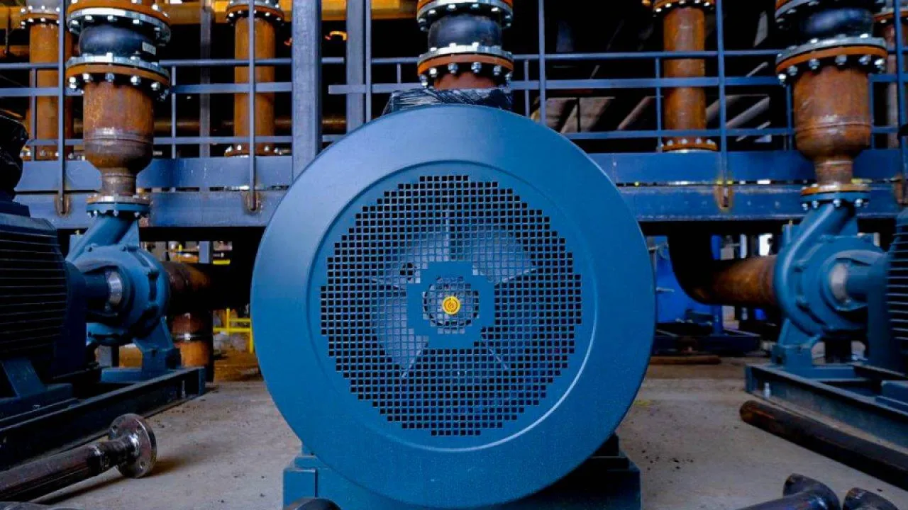 пресс-служба губернатора и правительства Московской области/Александра Степанова