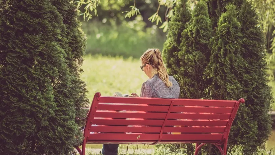 Фото: pxhere.com