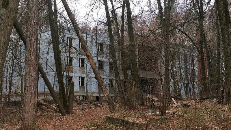 Филипп Терец / Подмосковье сегодня